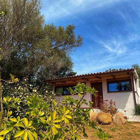 Saltara Villa Santa Teresa Gallura Dış mekan fotoğraf