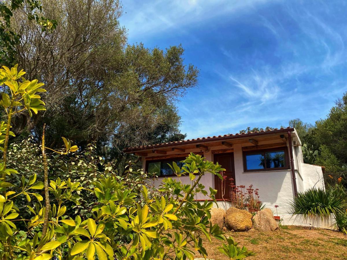 Saltara Villa Santa Teresa Gallura Dış mekan fotoğraf