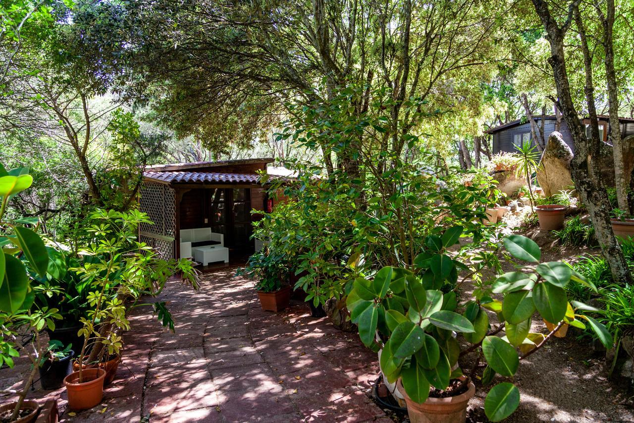 Saltara Villa Santa Teresa Gallura Dış mekan fotoğraf