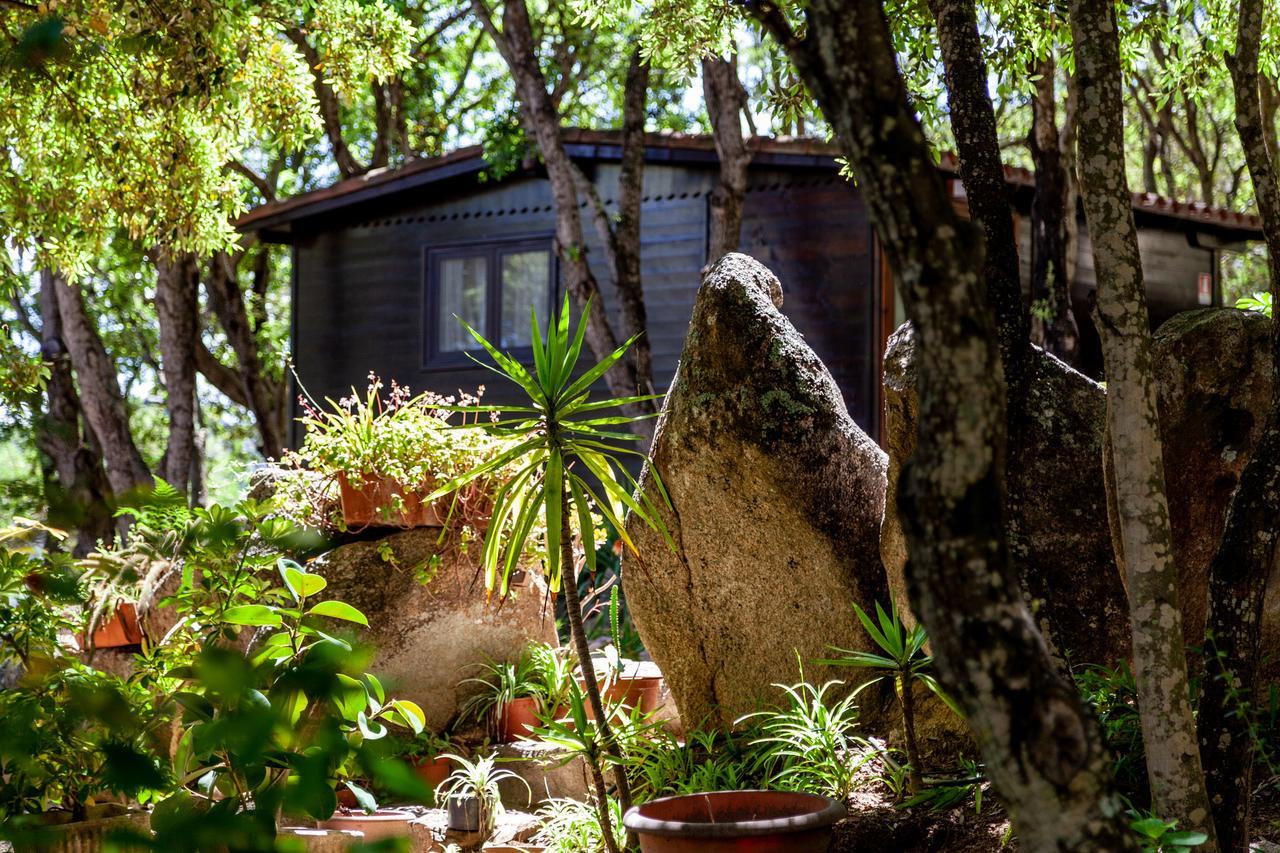 Saltara Villa Santa Teresa Gallura Dış mekan fotoğraf