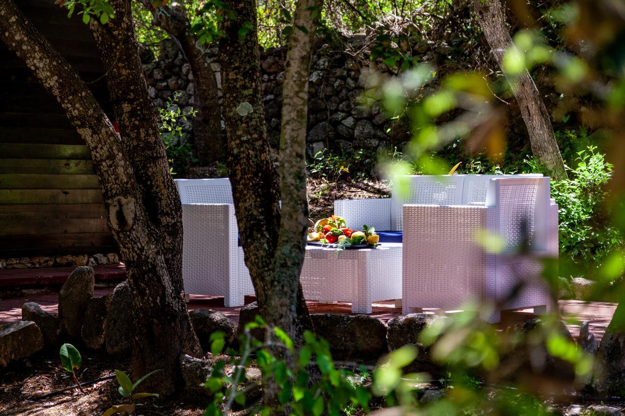 Saltara Villa Santa Teresa Gallura Dış mekan fotoğraf