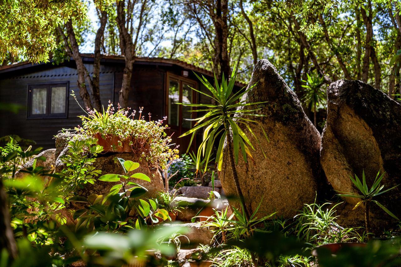 Saltara Villa Santa Teresa Gallura Dış mekan fotoğraf