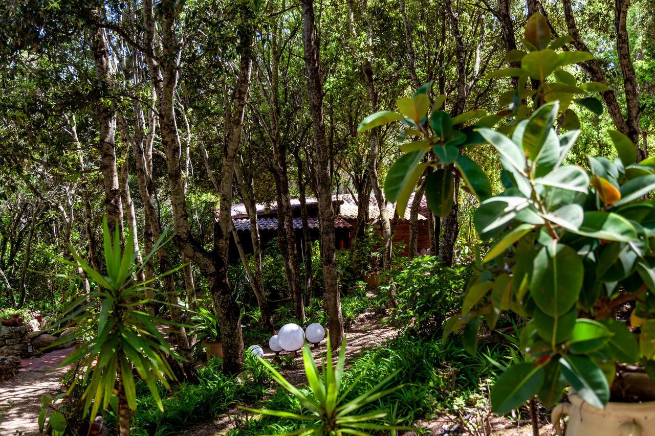 Saltara Villa Santa Teresa Gallura Dış mekan fotoğraf