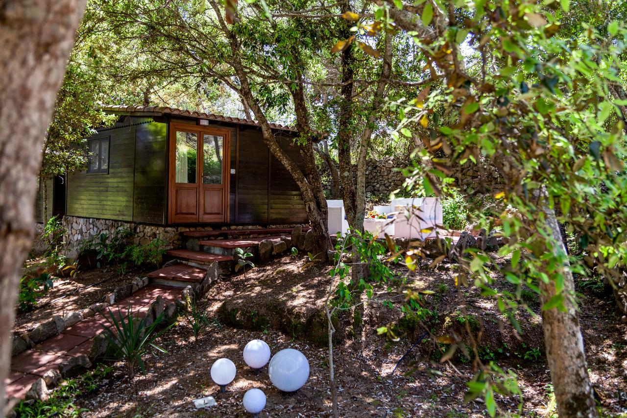 Saltara Villa Santa Teresa Gallura Dış mekan fotoğraf